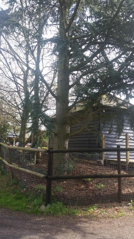 Latchmead Bed & Breakfast Stansted Mountfitchet Exterior foto